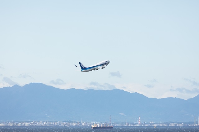 飛行機を鑑賞