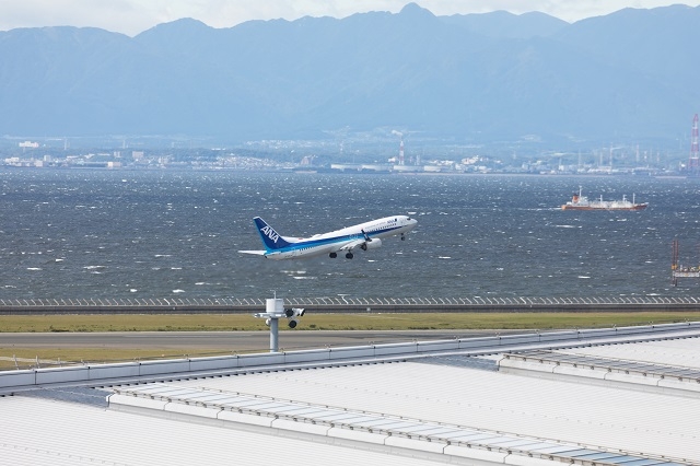 飛行機を鑑賞