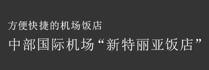 方便快捷的机场饭店 中部国际机场 新特丽亚饭店