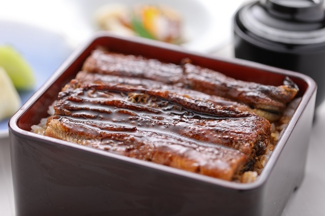 【期間限定】土用の丑におすすめ！　鰻料理+1ドリンク付